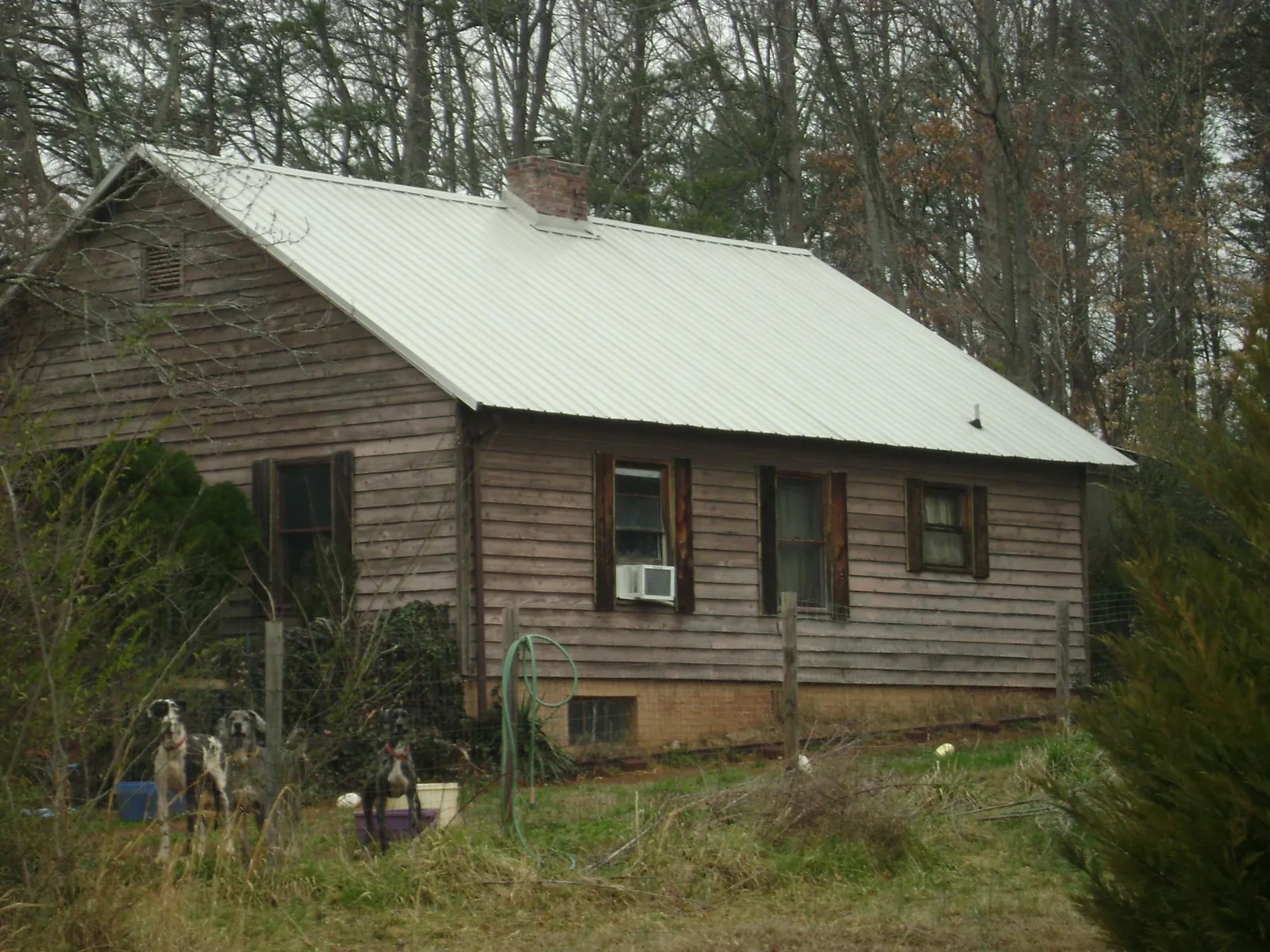 White metal roof on an old wood sided farmhouse, from a Asphalt Shingle Roof Repair job in Thornton